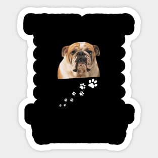 Personal Stalker Funny Bulldog Sticker